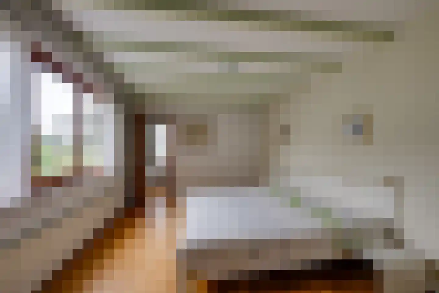 Hesseling 32 Prinsenbeek thumbnail 21