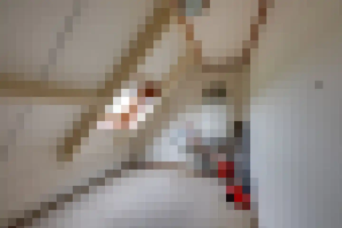 Hesseling 32 Prinsenbeek thumbnail 28