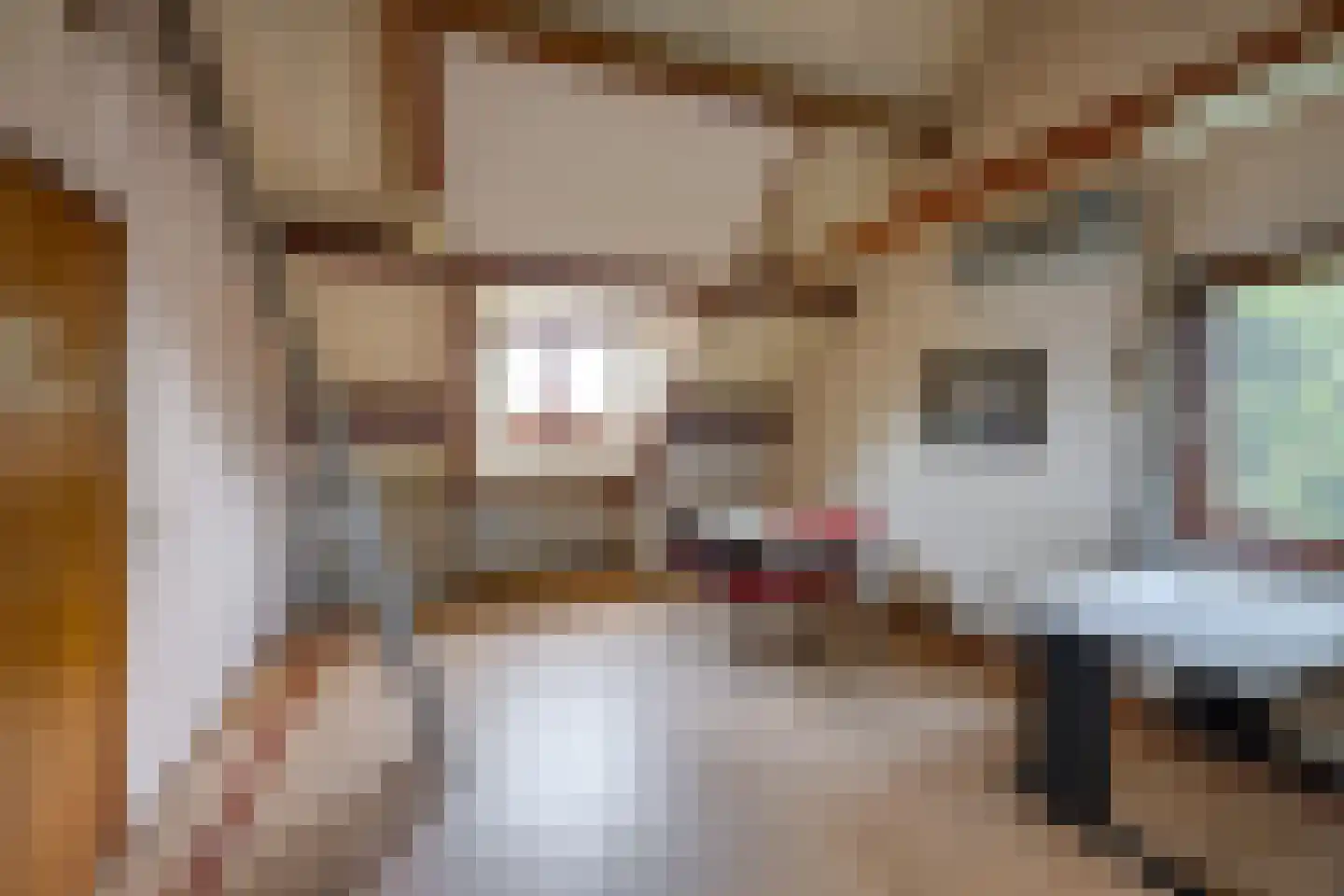 Hesseling 32 Prinsenbeek thumbnail 30