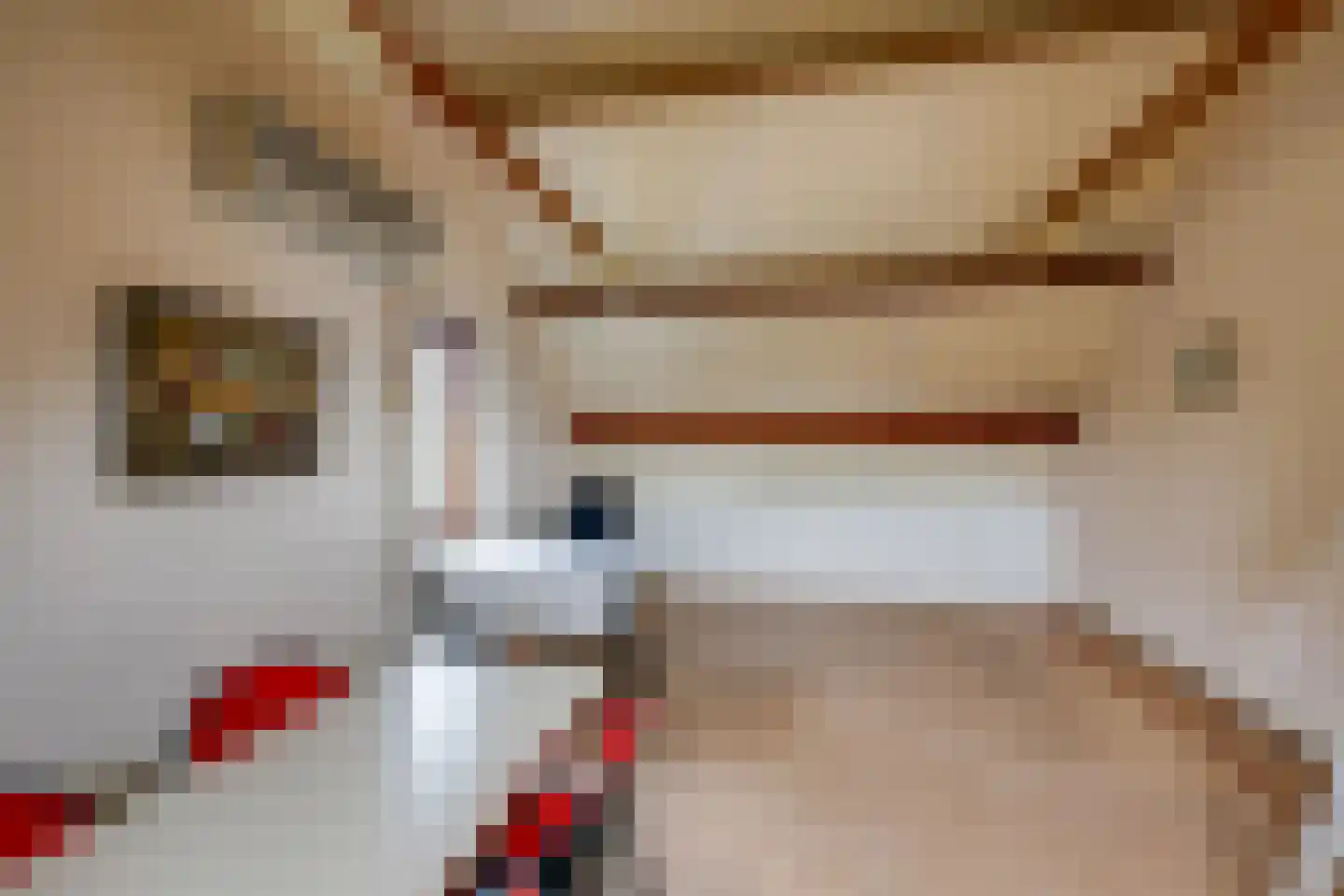 Hesseling 32 Prinsenbeek thumbnail 31
