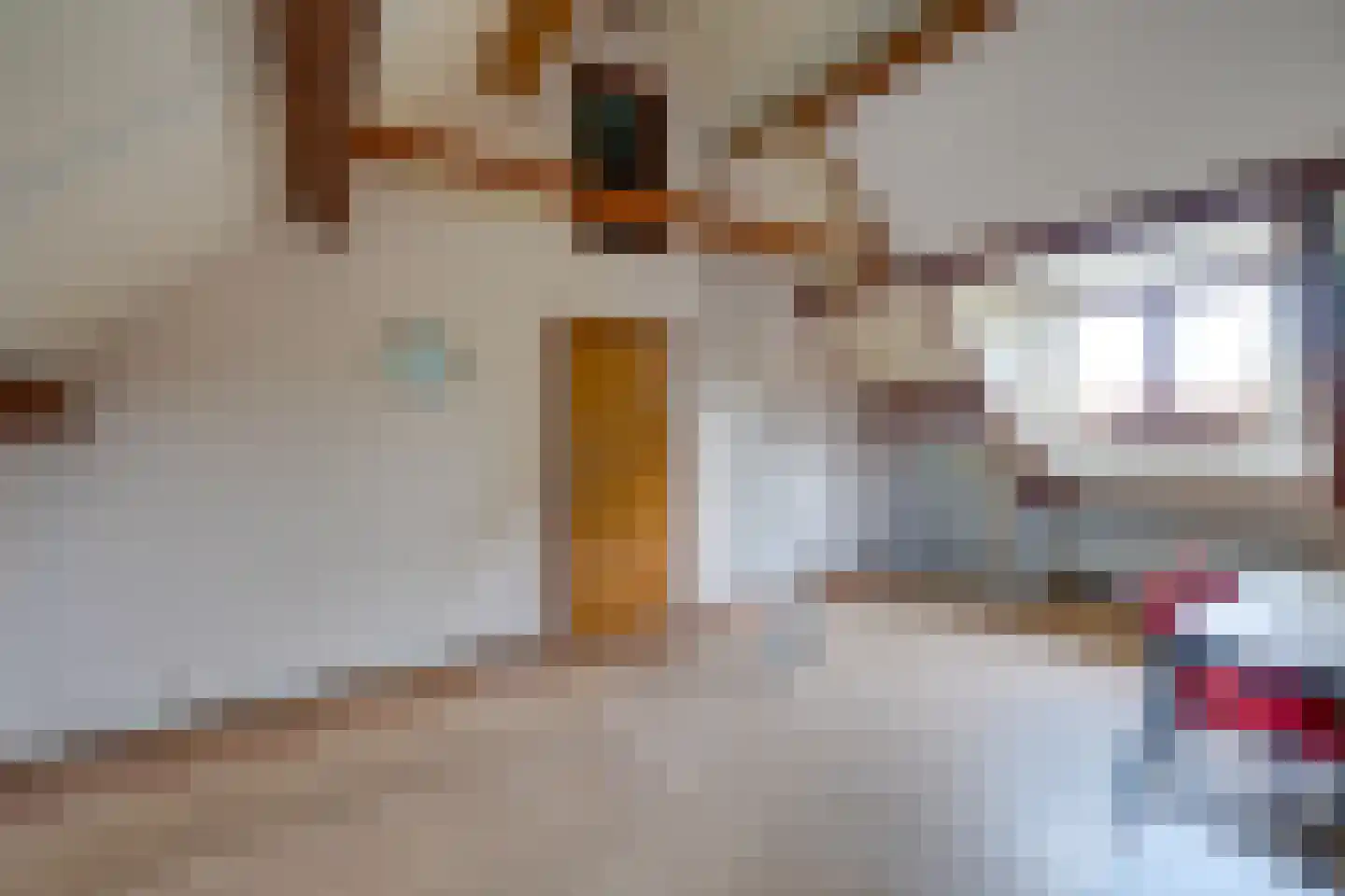 Hesseling 32 Prinsenbeek thumbnail 32
