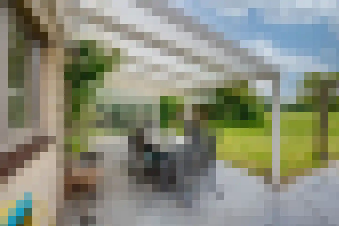 Hesseling 32 Prinsenbeek thumbnail 35
