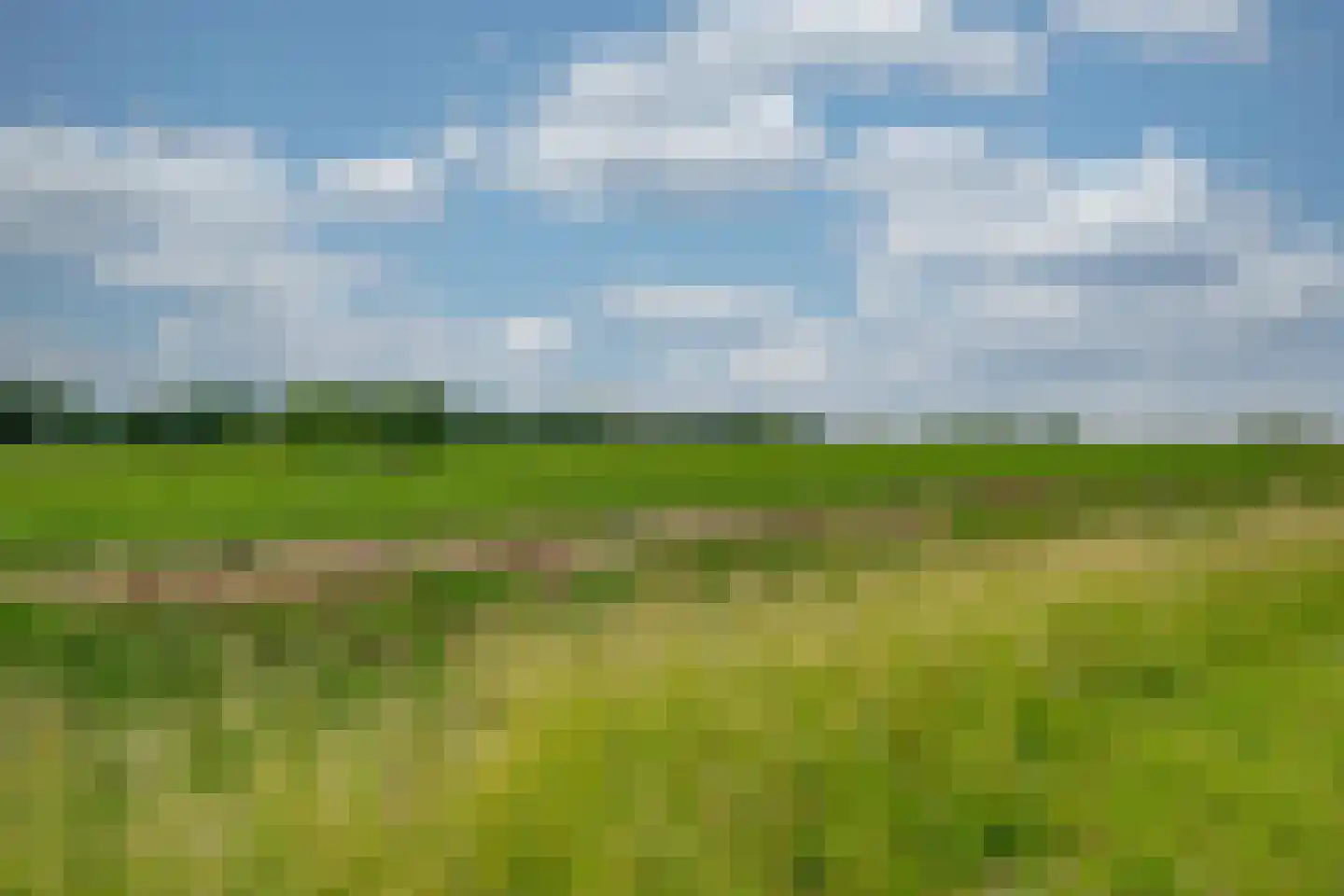 Hesseling 32 Prinsenbeek thumbnail 40