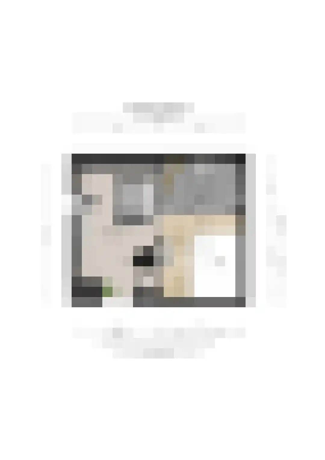 Hesseling 32 Prinsenbeek thumbnail 44