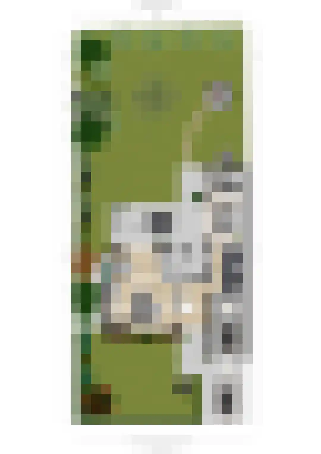 Hesseling 32 Prinsenbeek thumbnail 47