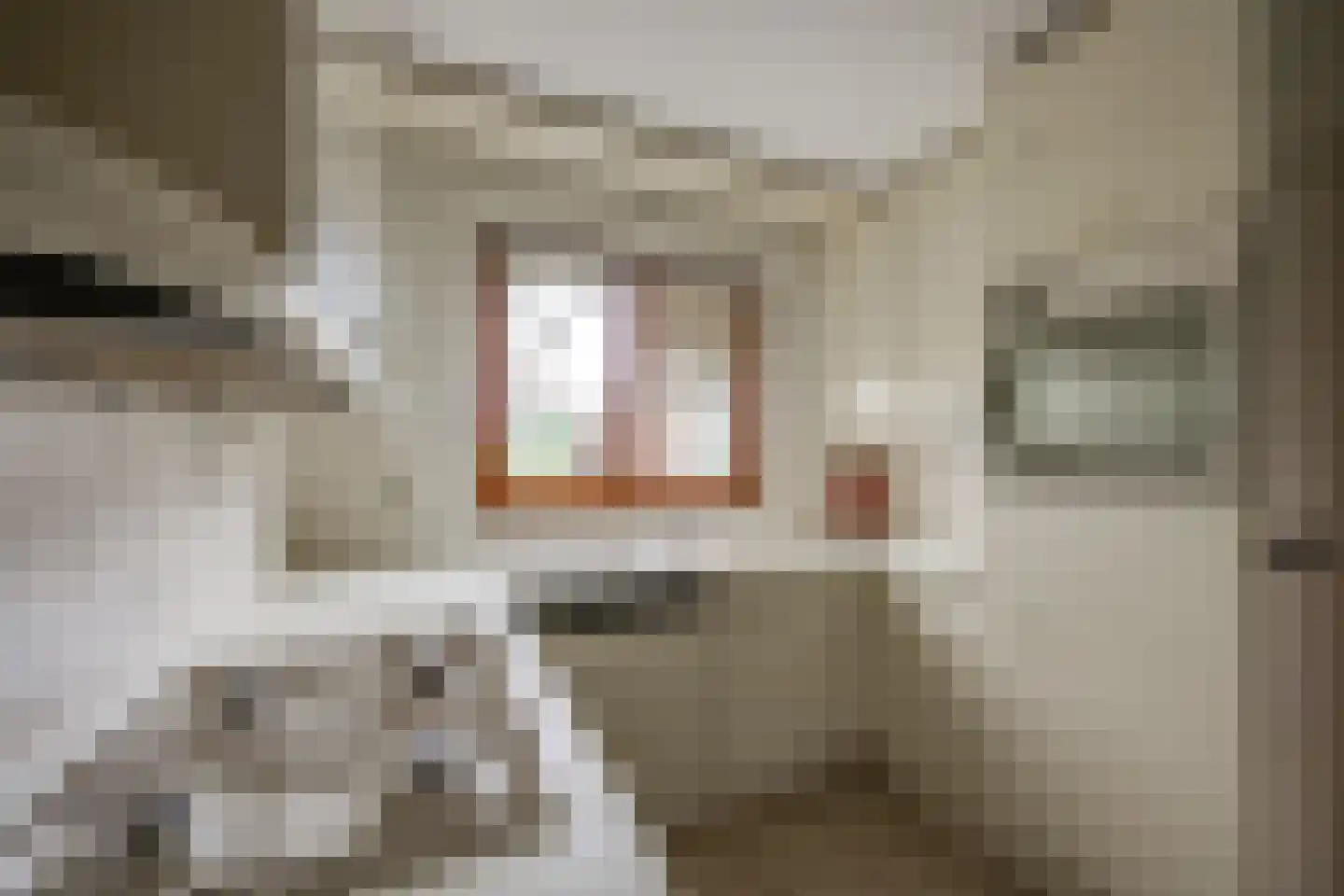 Hesseling 32 Prinsenbeek thumbnail 5