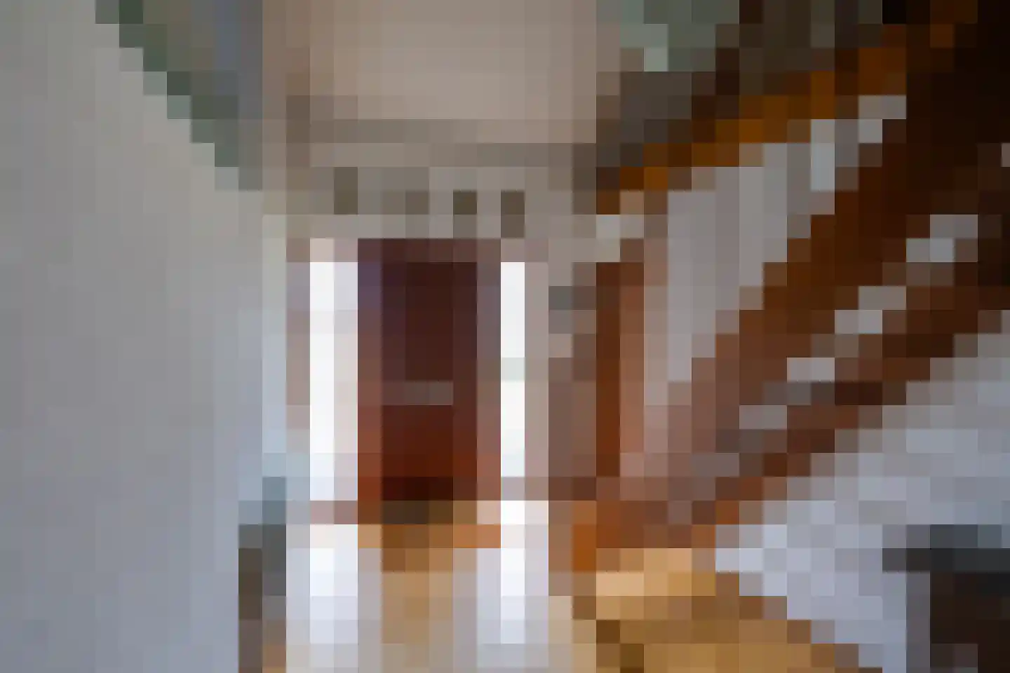 Hesseling 32 Prinsenbeek thumbnail 8