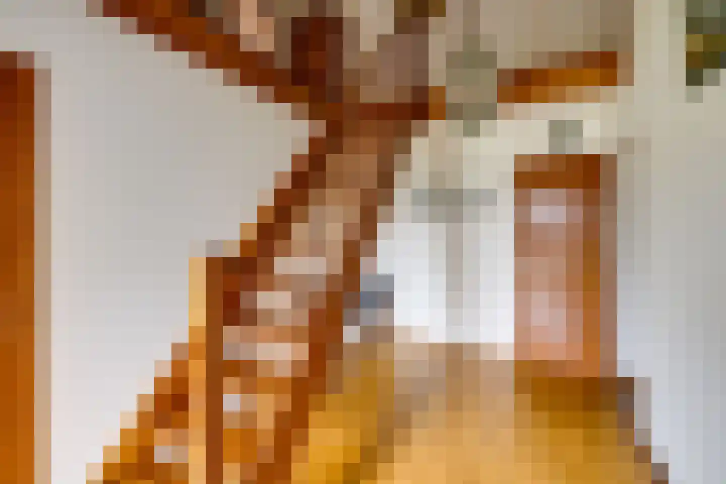 Hesseling 32 Prinsenbeek thumbnail 9