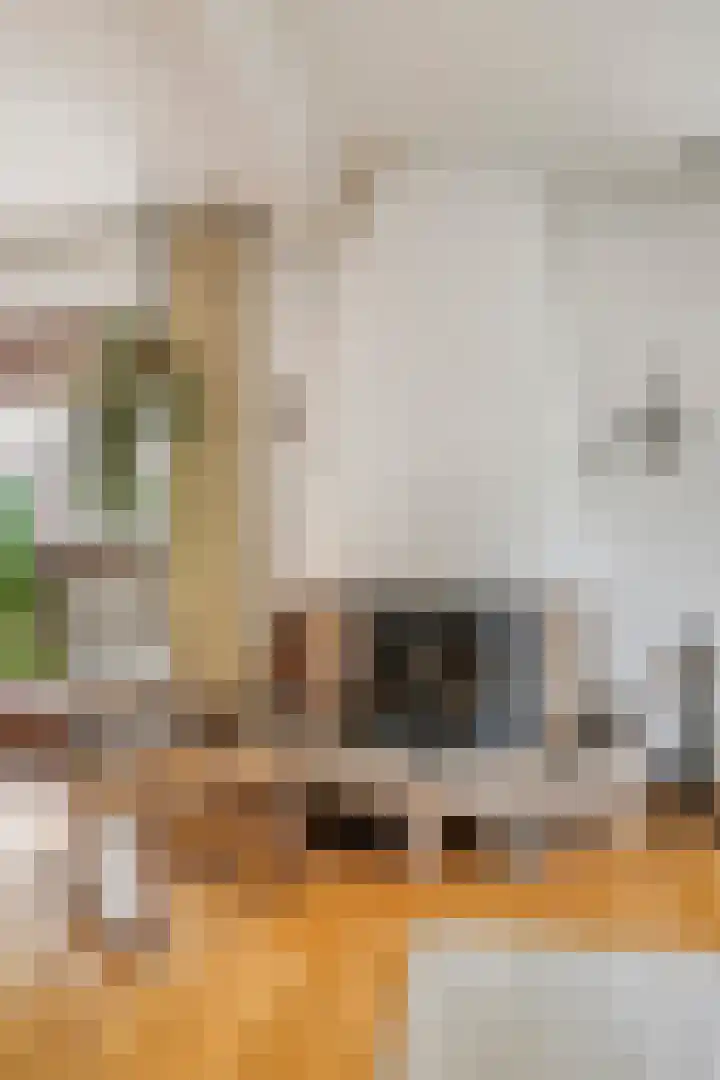 Hesseling 40 Prinsenbeek thumbnail 10