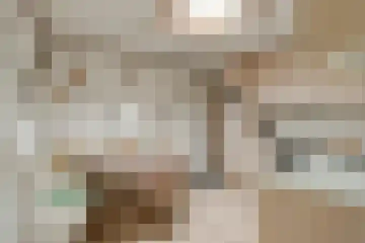 Hesseling 40 Prinsenbeek thumbnail 12
