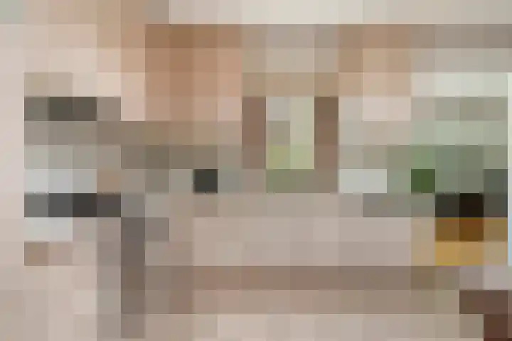 Hesseling 40 Prinsenbeek thumbnail 14