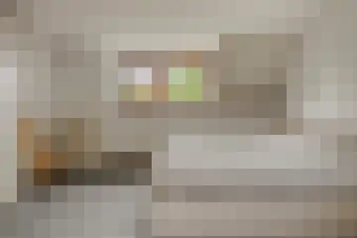 Hesseling 40 Prinsenbeek thumbnail 21