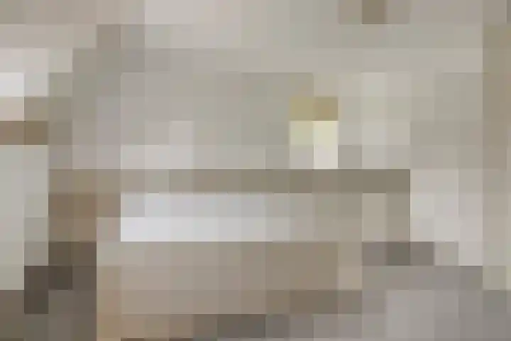 Hesseling 40 Prinsenbeek thumbnail 23