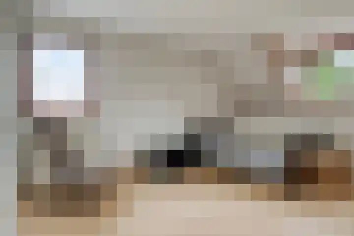 Hesseling 40 Prinsenbeek thumbnail 24