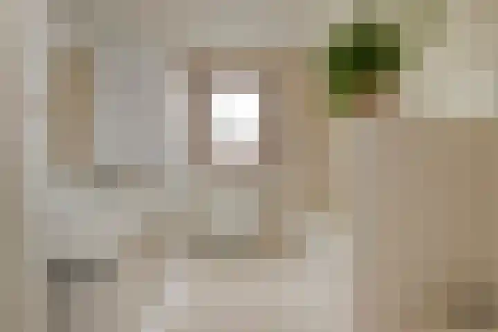 Hesseling 40 Prinsenbeek thumbnail 30
