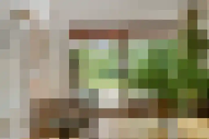 Hesseling 40 Prinsenbeek thumbnail 37