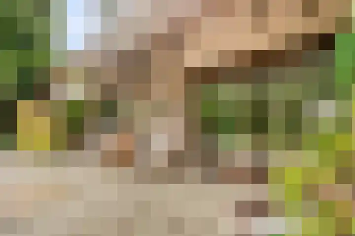 Hesseling 40 Prinsenbeek thumbnail 38