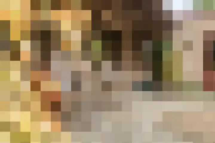Hesseling 40 Prinsenbeek thumbnail 39