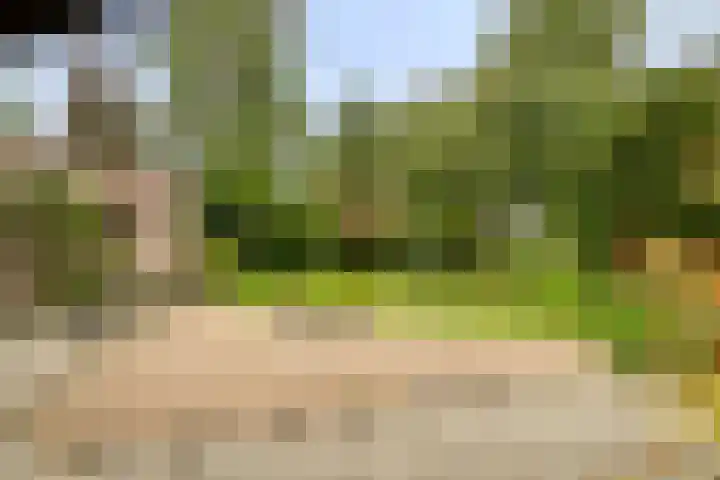 Hesseling 40 Prinsenbeek thumbnail 41