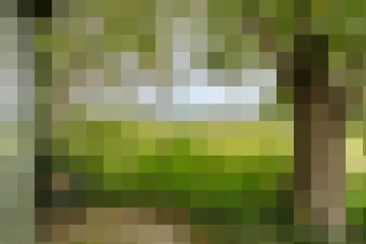 Hesseling 40 Prinsenbeek thumbnail 42