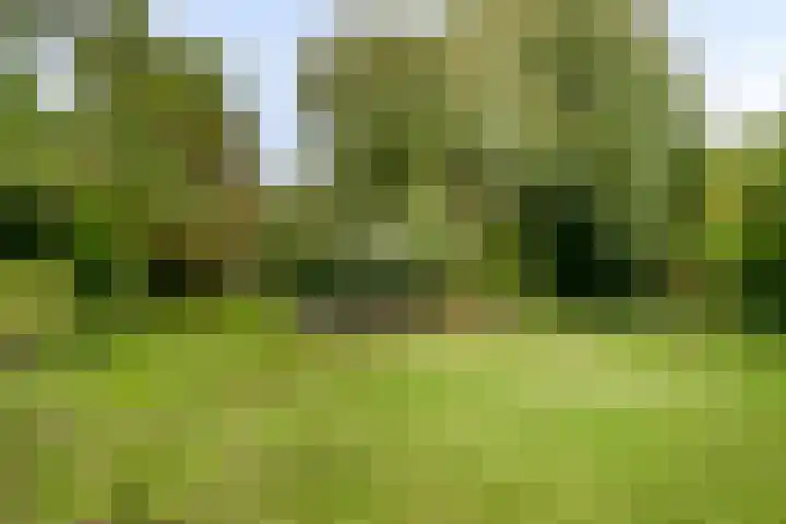 Hesseling 40 Prinsenbeek thumbnail 43