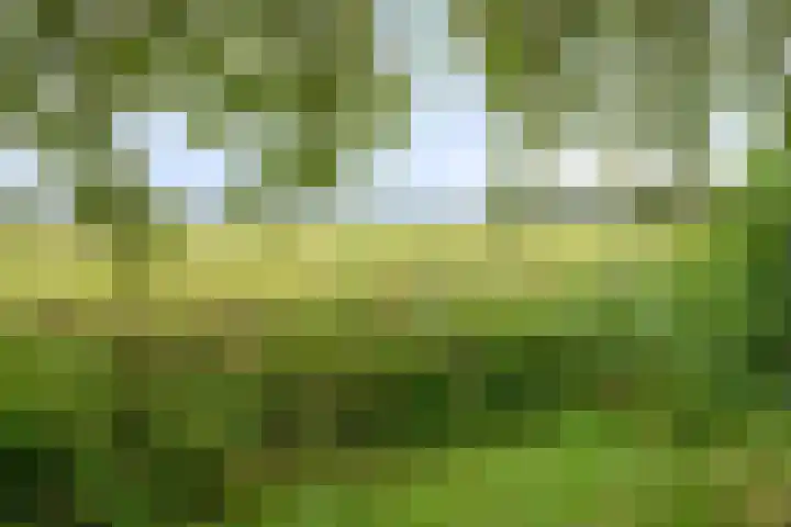 Hesseling 40 Prinsenbeek thumbnail 44