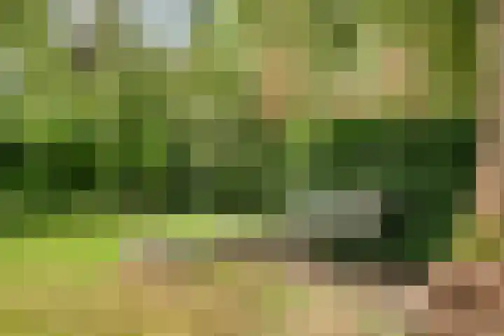 Hesseling 40 Prinsenbeek thumbnail 45