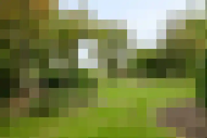 Hesseling 40 Prinsenbeek thumbnail 46