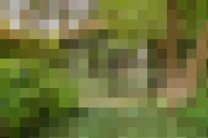 Hesseling 40 Prinsenbeek thumbnail 48