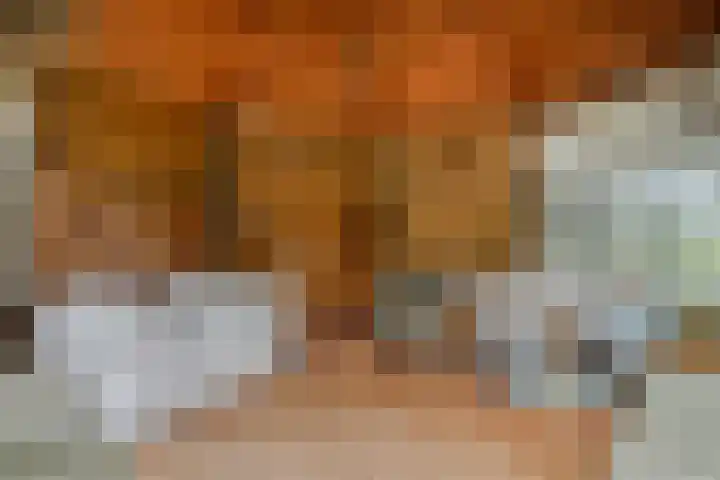 Hesseling 40 Prinsenbeek thumbnail 49