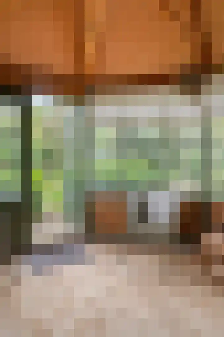 Hesseling 40 Prinsenbeek thumbnail 50