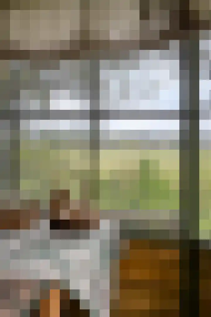Hesseling 40 Prinsenbeek thumbnail 51