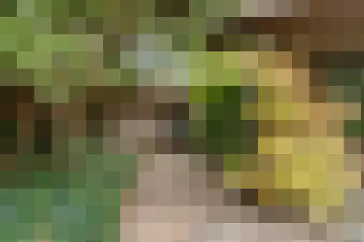 Hesseling 40 Prinsenbeek thumbnail 53