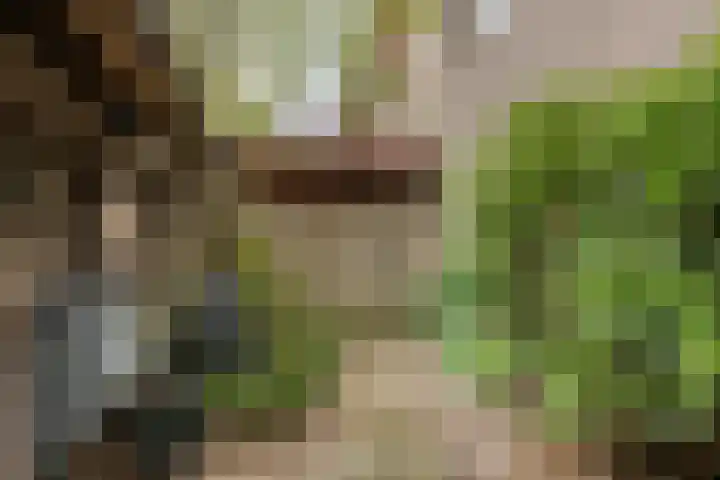 Hesseling 40 Prinsenbeek thumbnail 54