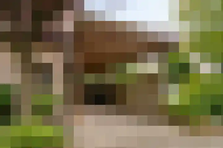 Hesseling 40 Prinsenbeek thumbnail 55
