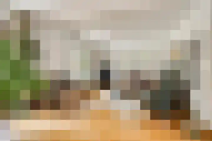 Hesseling 40 Prinsenbeek thumbnail 6