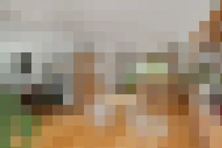 Hesseling 40 Prinsenbeek thumbnail 8