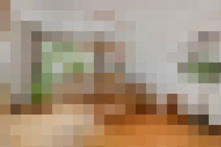 Hesseling 40 Prinsenbeek thumbnail 9