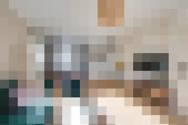 Hesseling 8 Prinsenbeek thumbnail 12