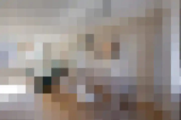 Hesseling 8 Prinsenbeek thumbnail 14