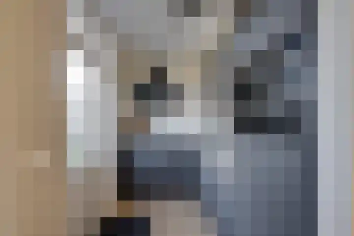 Hesseling 8 Prinsenbeek thumbnail 16