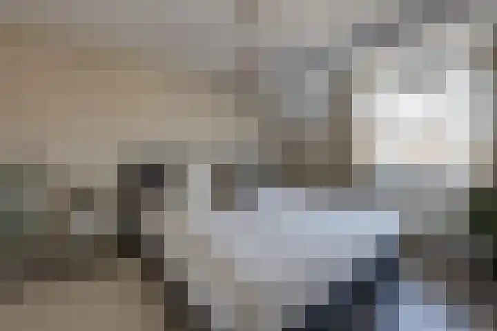 Hesseling 8 Prinsenbeek thumbnail 19
