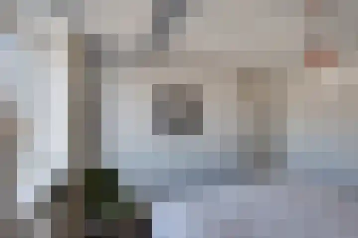 Hesseling 8 Prinsenbeek thumbnail 20