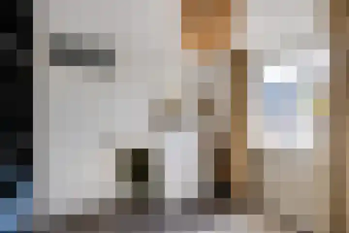 Hesseling 8 Prinsenbeek thumbnail 22