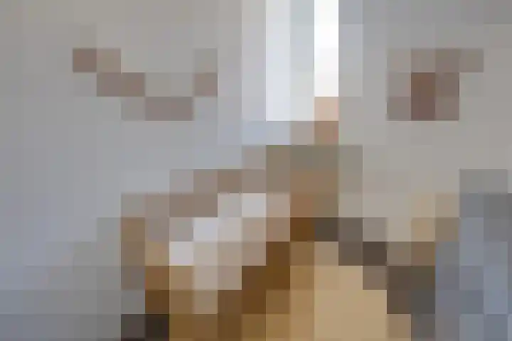 Hesseling 8 Prinsenbeek thumbnail 24