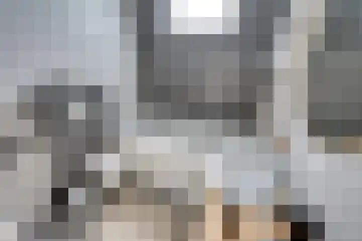 Hesseling 8 Prinsenbeek thumbnail 26
