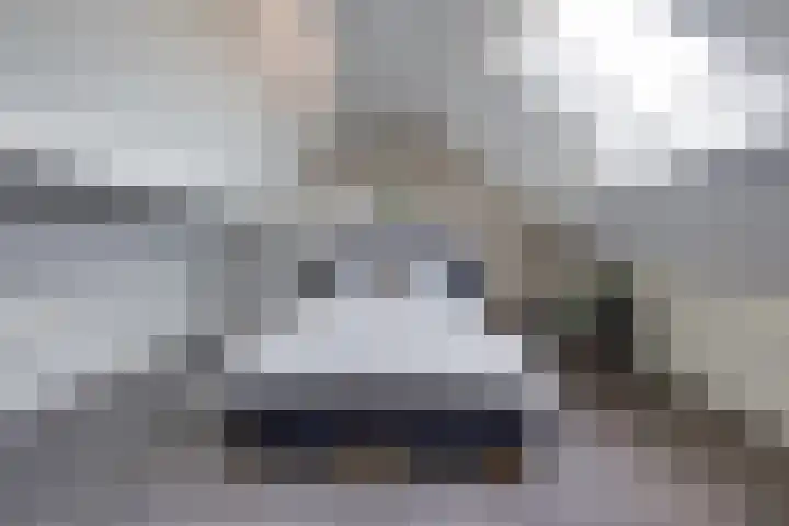 Hesseling 8 Prinsenbeek thumbnail 29