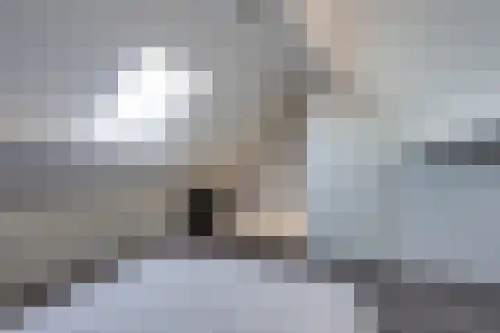 Hesseling 8 Prinsenbeek thumbnail 30