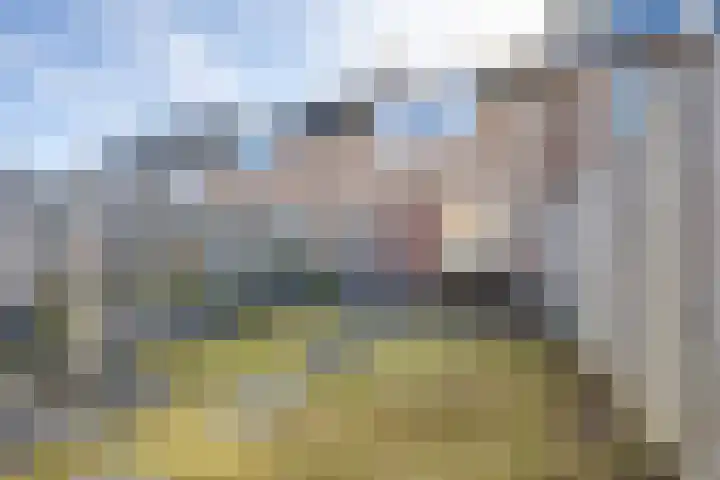 Hesseling 8 Prinsenbeek thumbnail 31