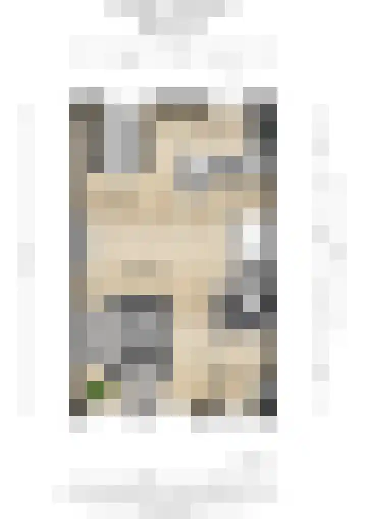 Hesseling 8 Prinsenbeek thumbnail 37